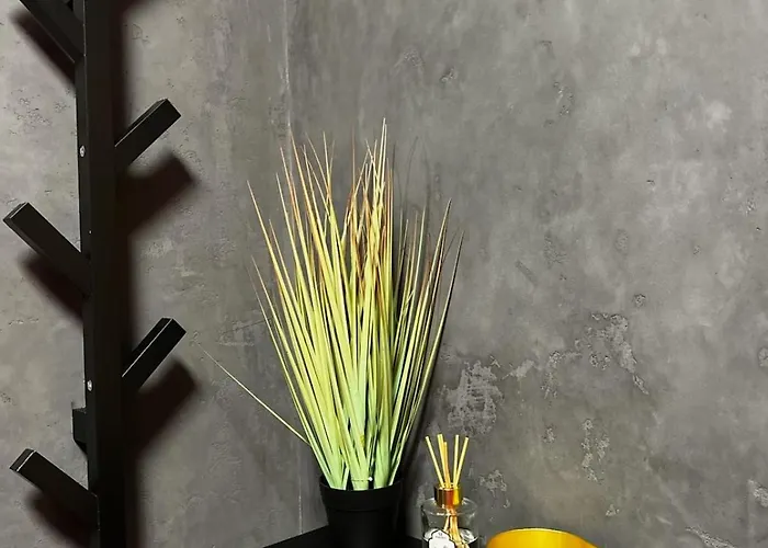 Apartment Sunset Loft